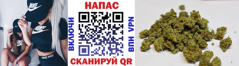 Конопля индика Балаково